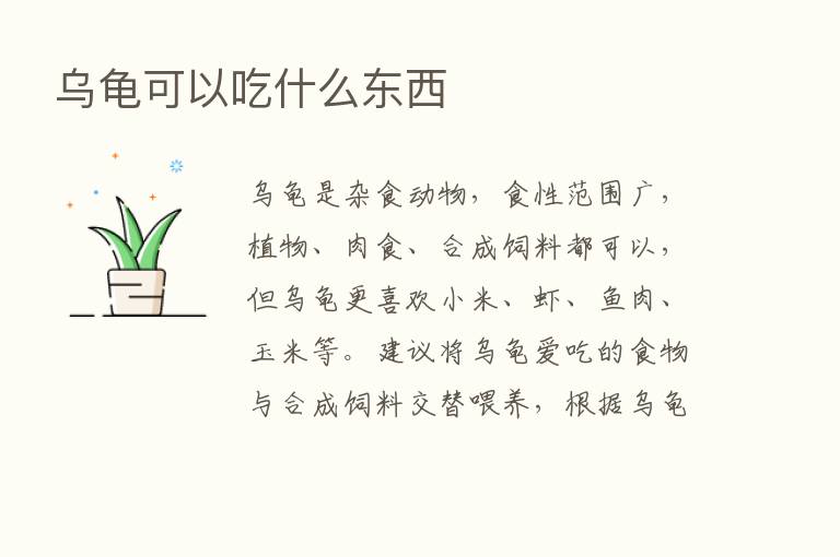 乌龟可以吃什么东西