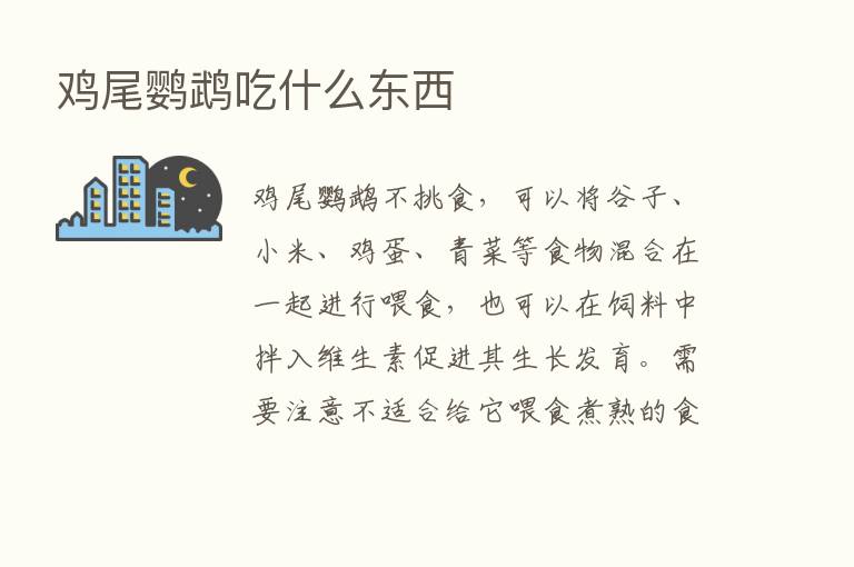 鸡尾鹦鹉吃什么东西