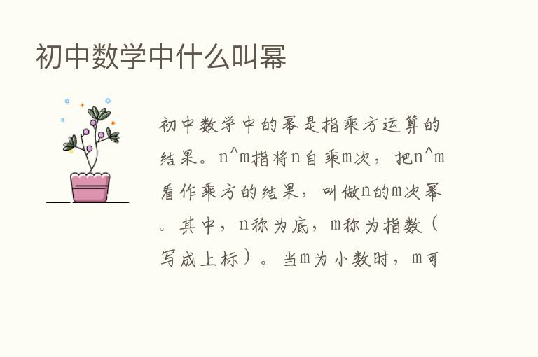 初中数学中什么叫幂