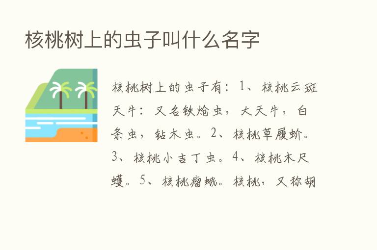 核桃树上的虫子叫什么名字