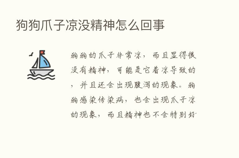 狗狗爪子凉没精神怎么回事