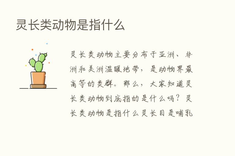 灵长类动物是指什么