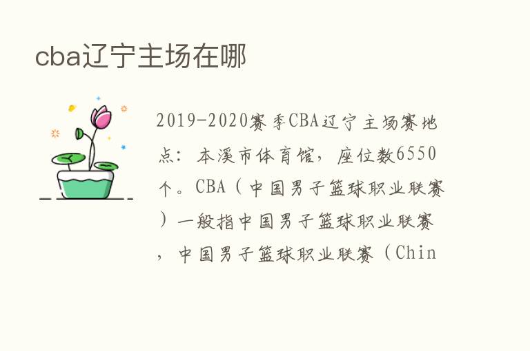 cba辽宁主场在哪