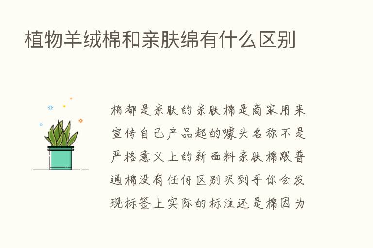 植物羊绒棉和亲肤绵有什么区别