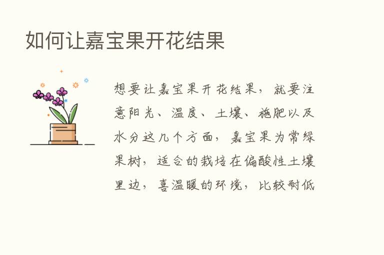 如何让嘉宝果开花结果