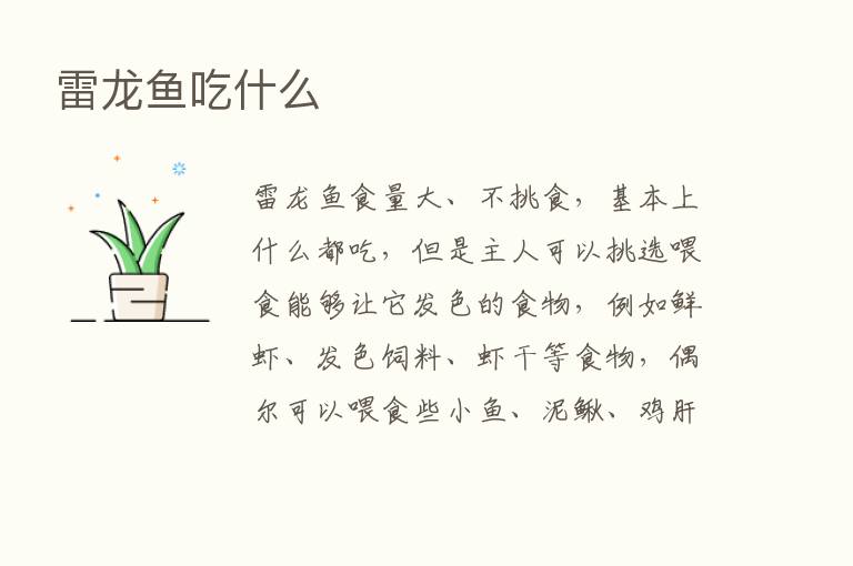 雷龙鱼吃什么