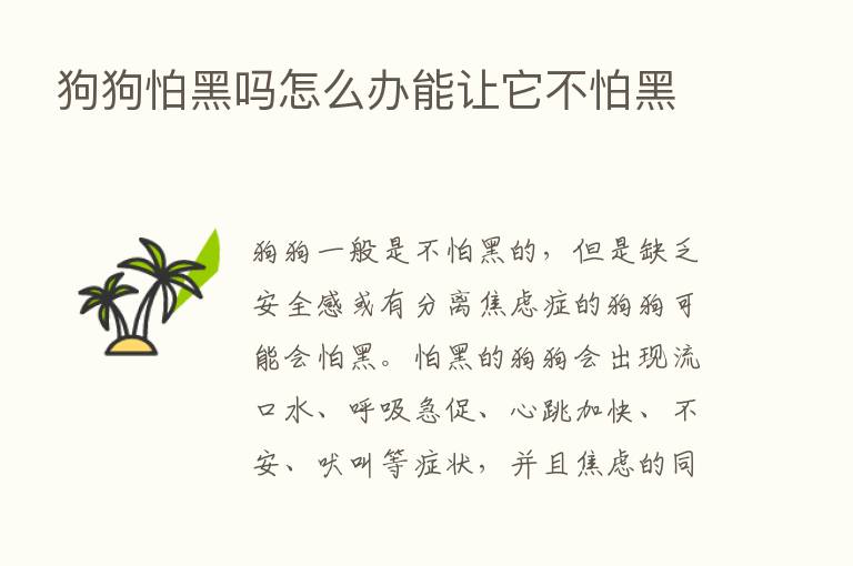 狗狗怕黑吗怎么办能让它不怕黑