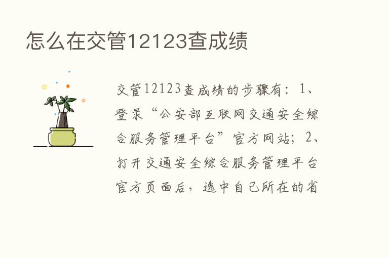 怎么在交管12123查成绩