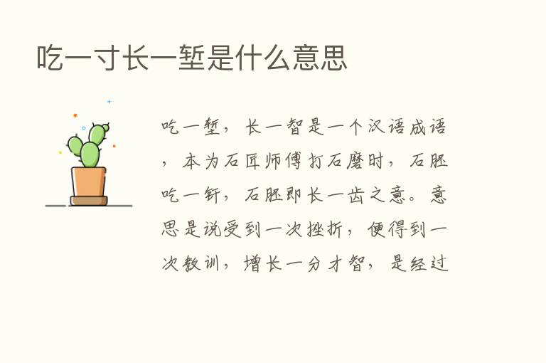 吃一寸长一堑是什么意思