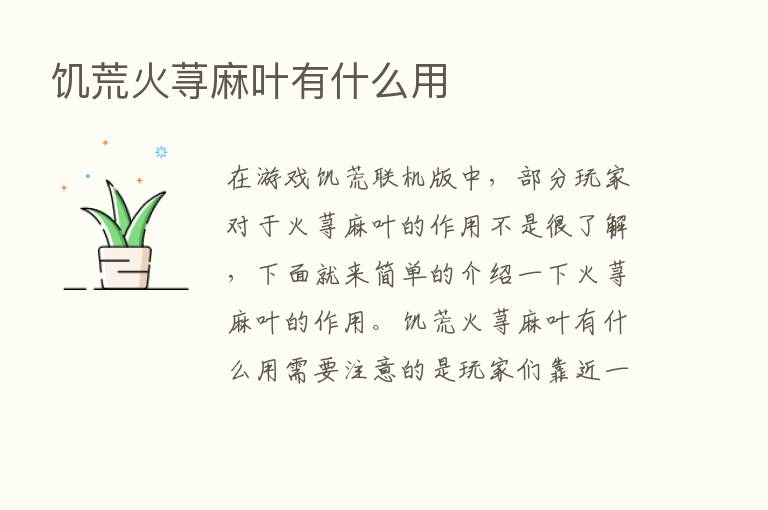 饥荒火荨麻叶有什么用