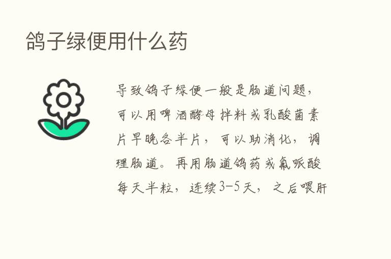 鸽子绿便用什么药