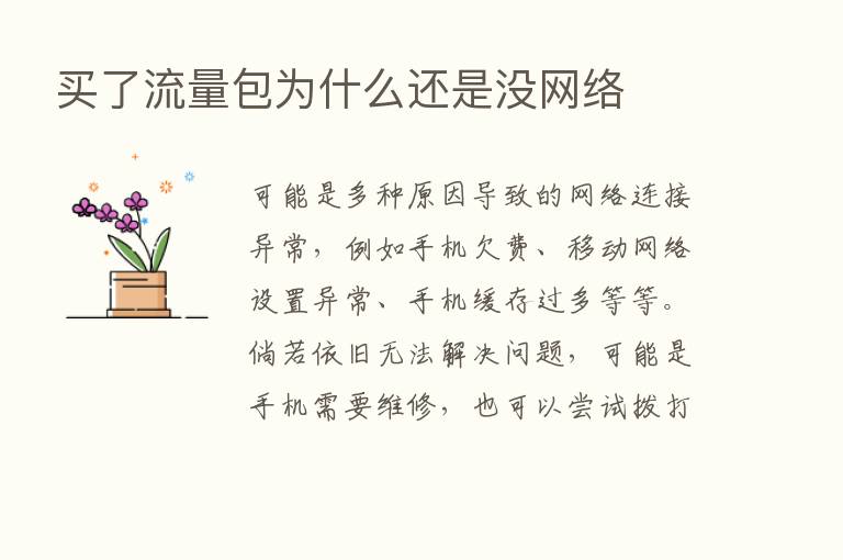 买了流量包为什么还是没网络