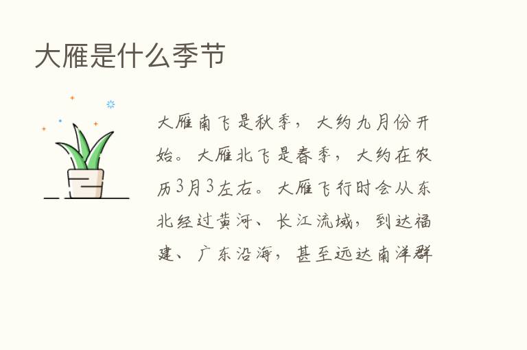 大雁是什么季节