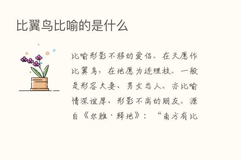 比翼鸟比喻的是什么