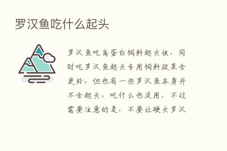 罗汉鱼吃什么起头