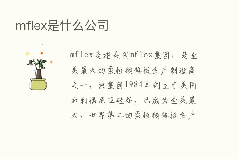 mflex是什么公司