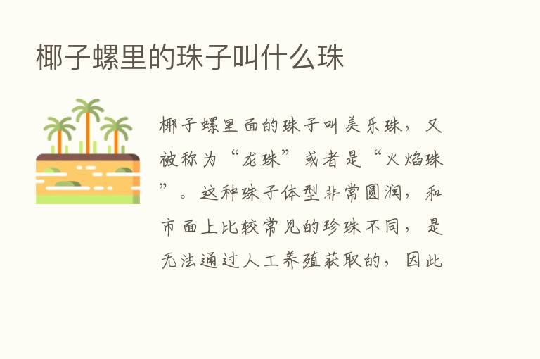 椰子螺里的珠子叫什么珠