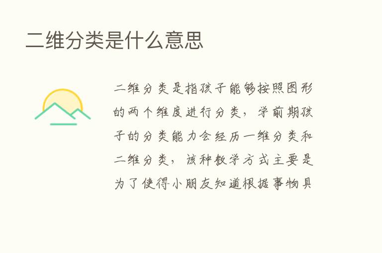 二维分类是什么意思