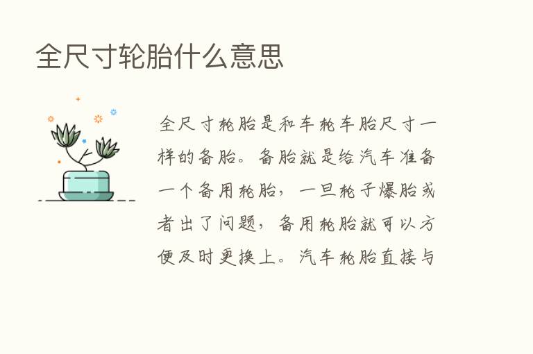 全尺寸轮胎什么意思