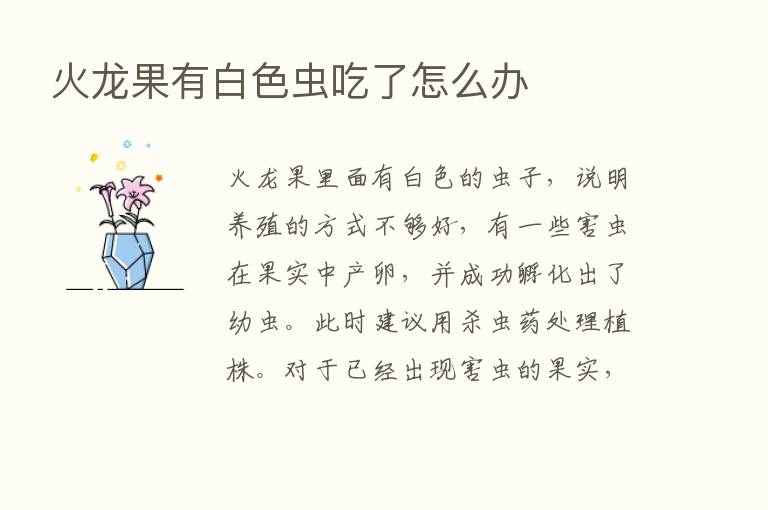 火龙果有白色虫吃了怎么办