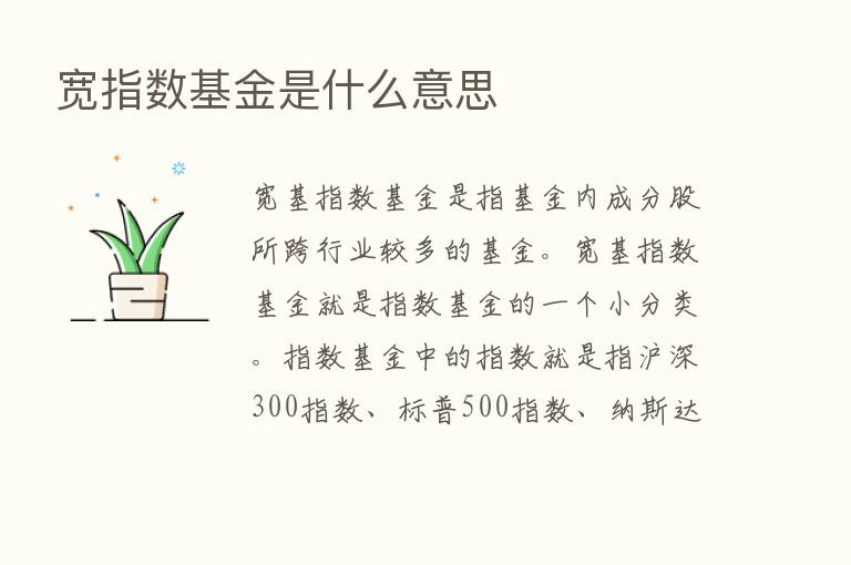 宽指数基金是什么意思