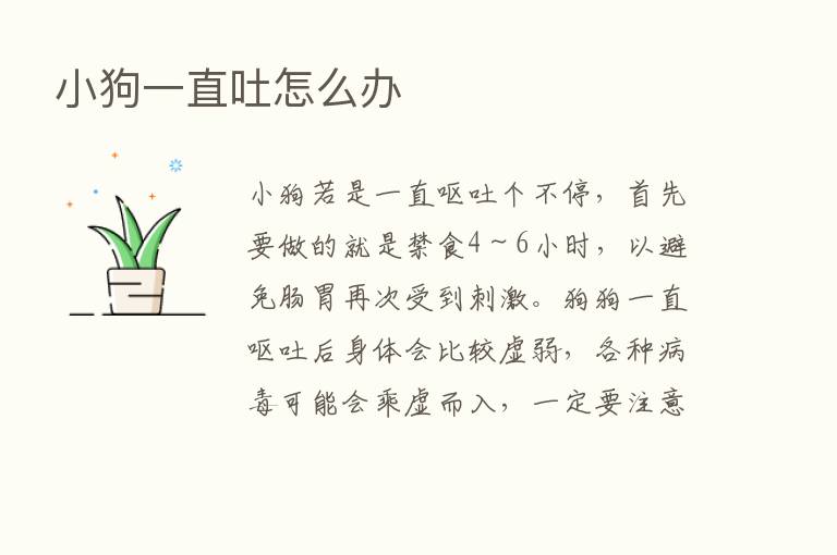 小狗一直吐怎么办