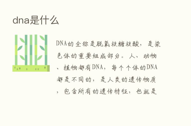 dna是什么