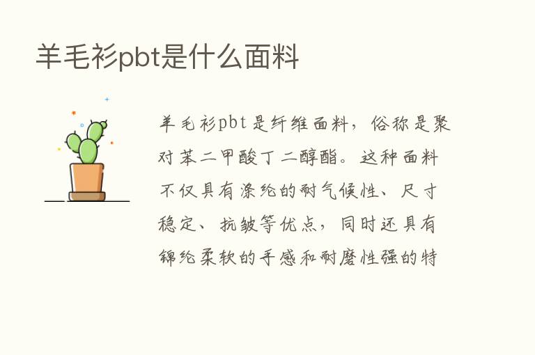 羊毛衫pbt是什么面料