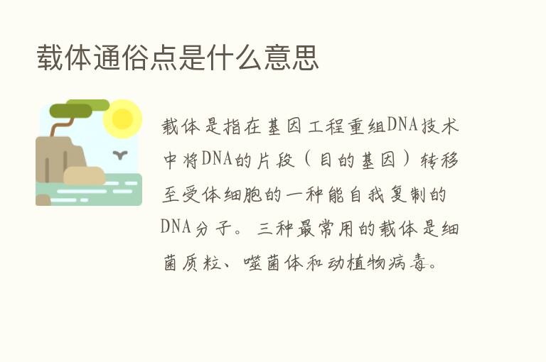 载体通俗点是什么意思