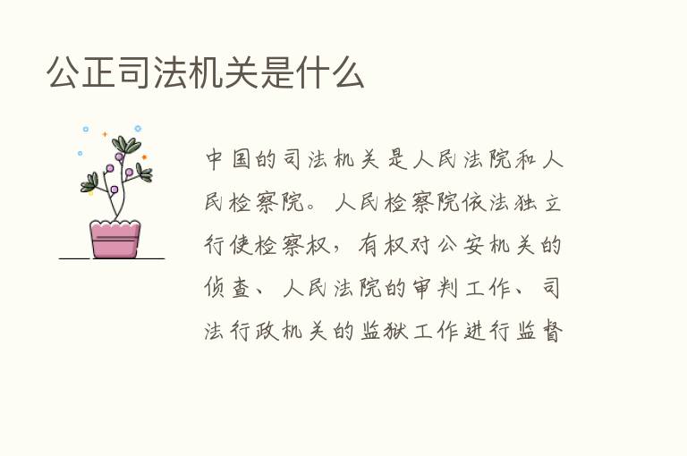 公正司法机关是什么