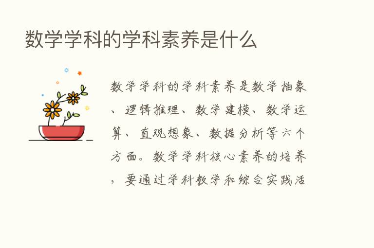 数学学科的学科素养是什么