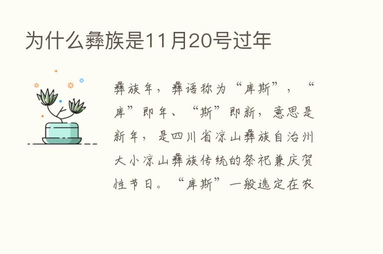 为什么彝族是11月20号过年