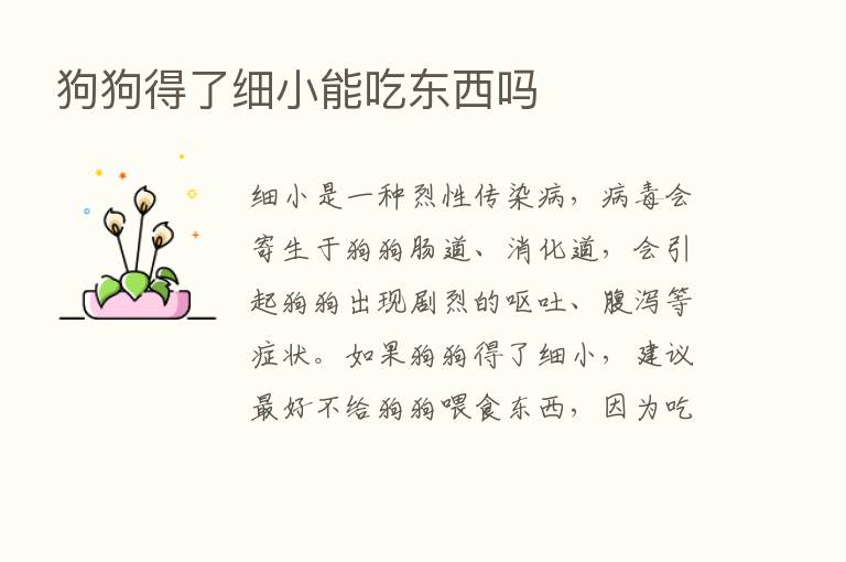 狗狗得了细小能吃东西吗