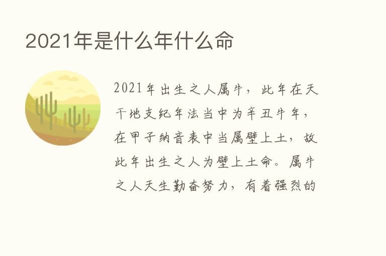 2021年是什么年什么命