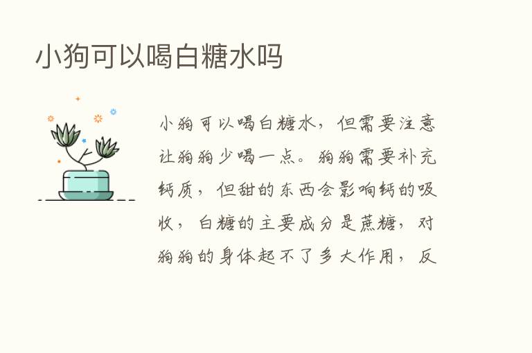 小狗可以喝白糖水吗