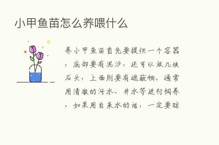 小甲鱼苗怎么养喂什么