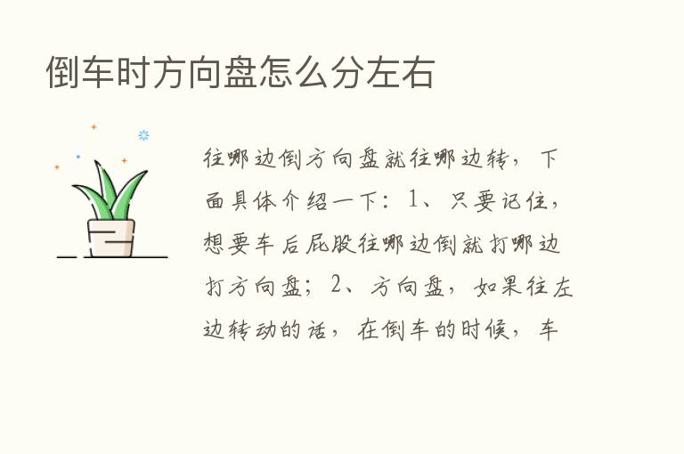 倒车时方向盘怎么分左右