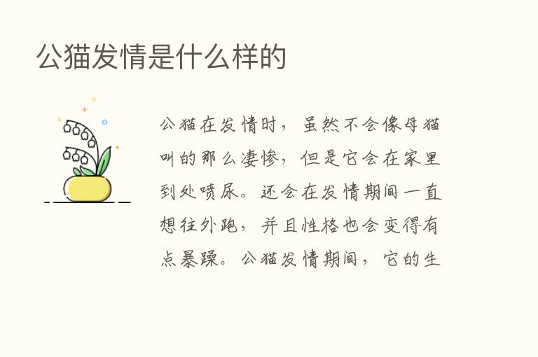 公猫发情是什么样的