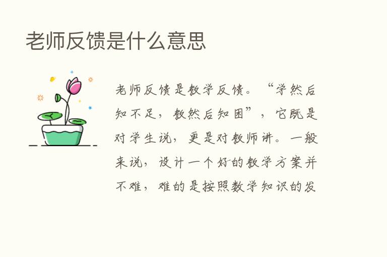 老师反馈是什么意思