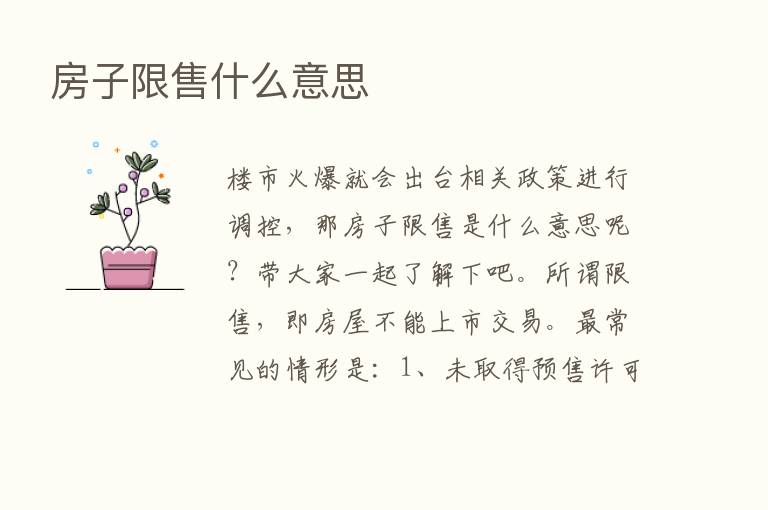 房子限售什么意思