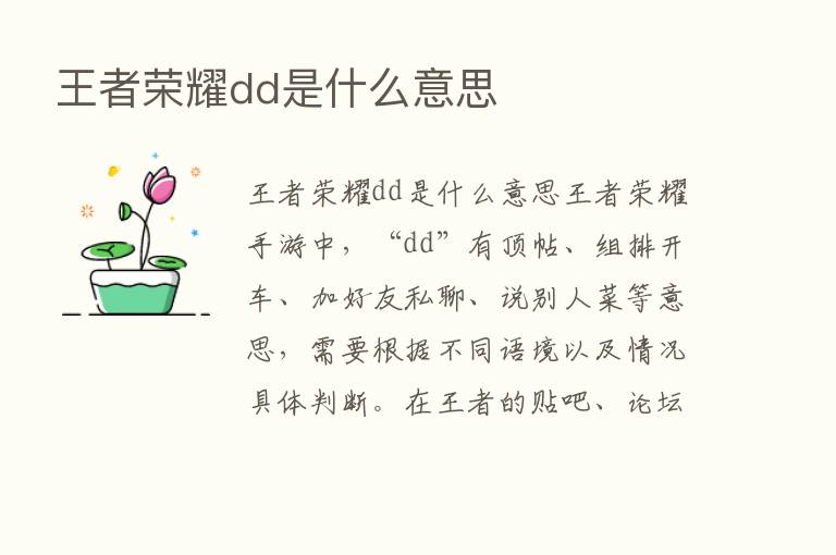 王者      dd是什么意思