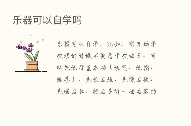 乐器可以自学吗