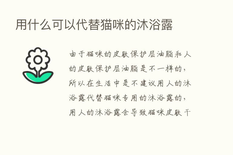 用什么可以代替猫咪的沐浴露