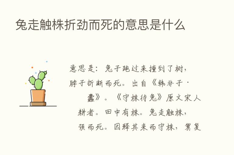 兔走触株折劲而死的意思是什么