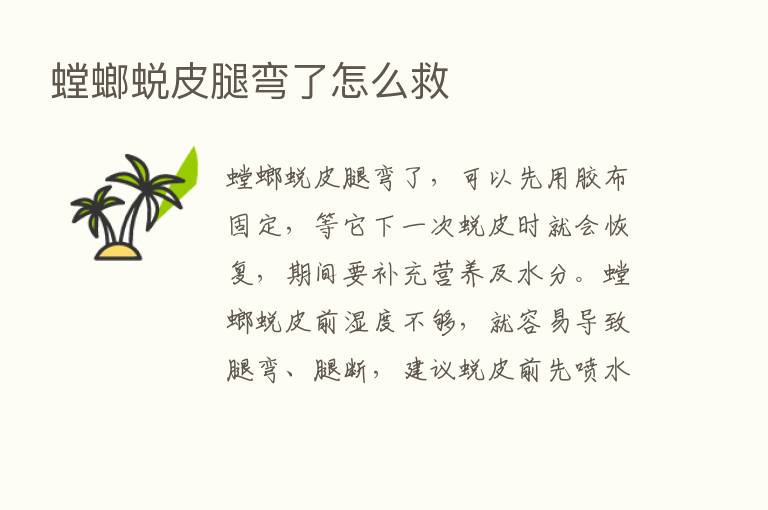 螳螂蜕皮腿弯了怎么救