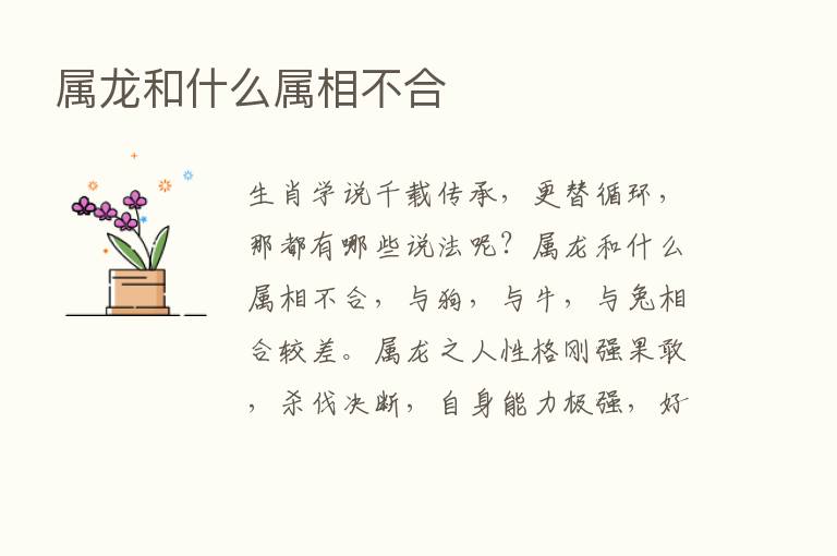 属龙和什么属相不合