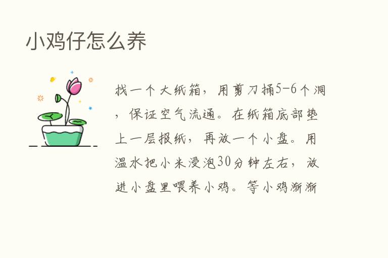 小鸡仔怎么养