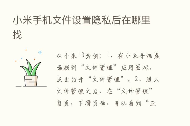 小米手机文件设置隐私后在哪里找