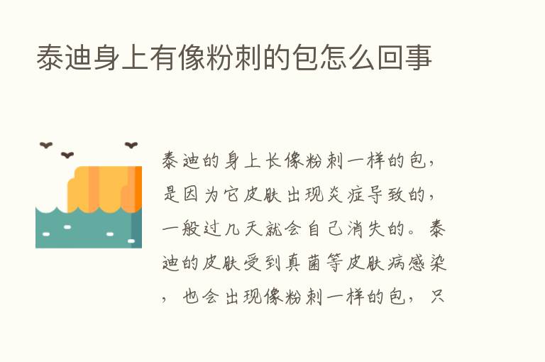 泰迪身上有像粉刺的包怎么回事