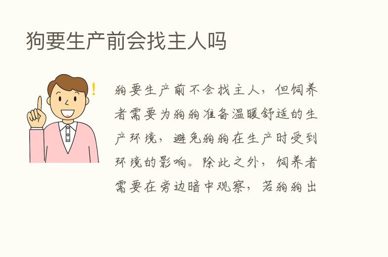 狗要生产前会找主人吗